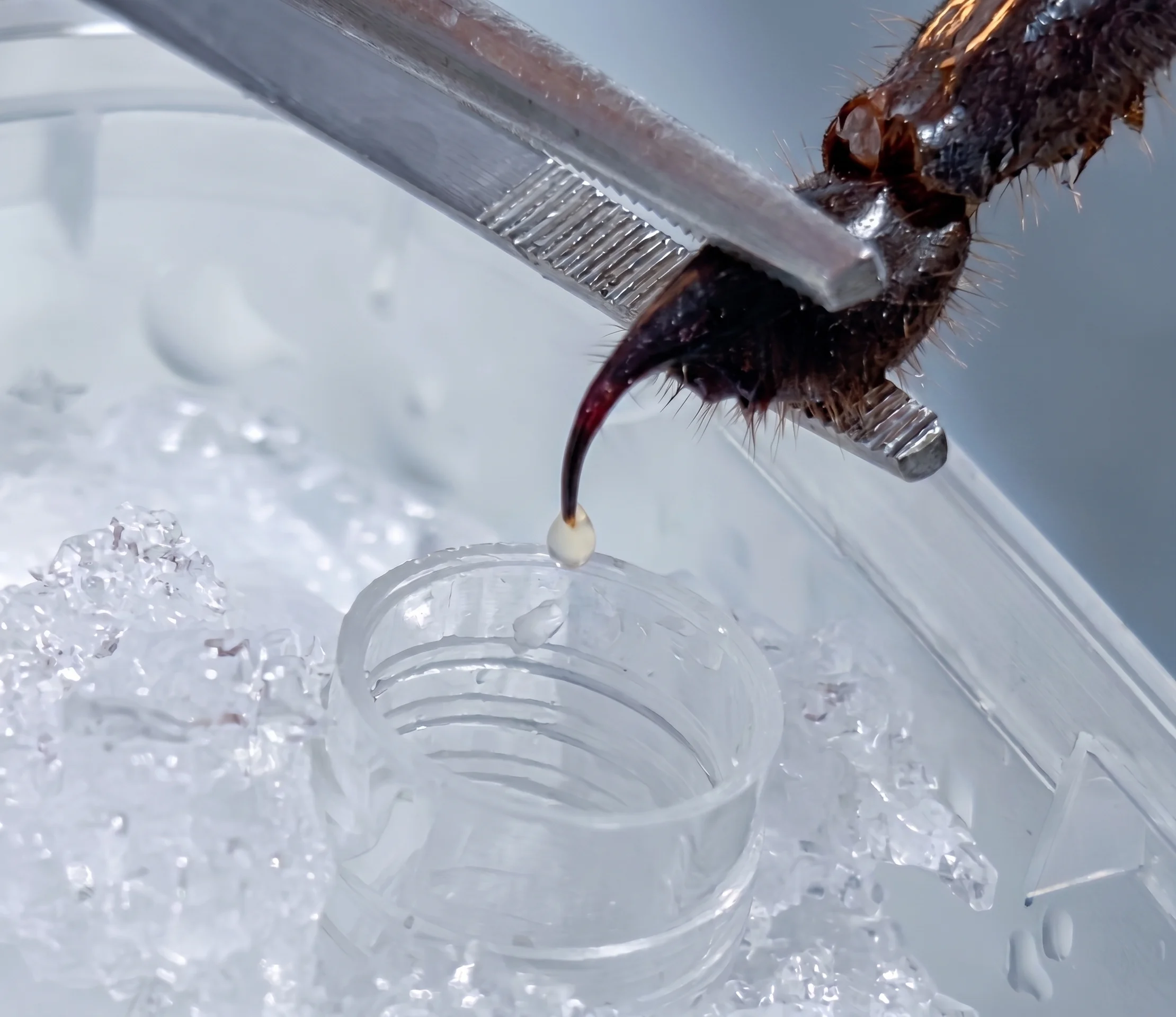 Ultra-Low Temperature Preservation